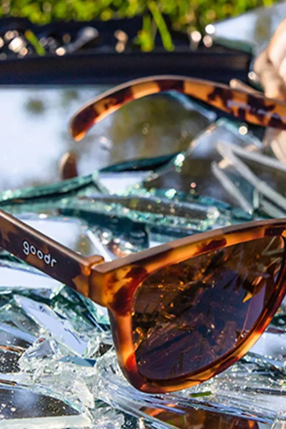 Bosley's Basset Hound Dreams Sunglasses