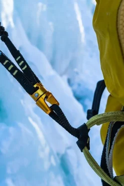 Double Spring Evo Leash