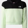 Girls Drew Peak Crop Hoodie Pullover 14+