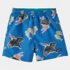 Kids Baggies Shorts