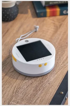 Luci Multi-Colour String Lights