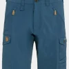 Mens Abisko Shorts