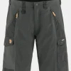 Mens Abisko Shorts