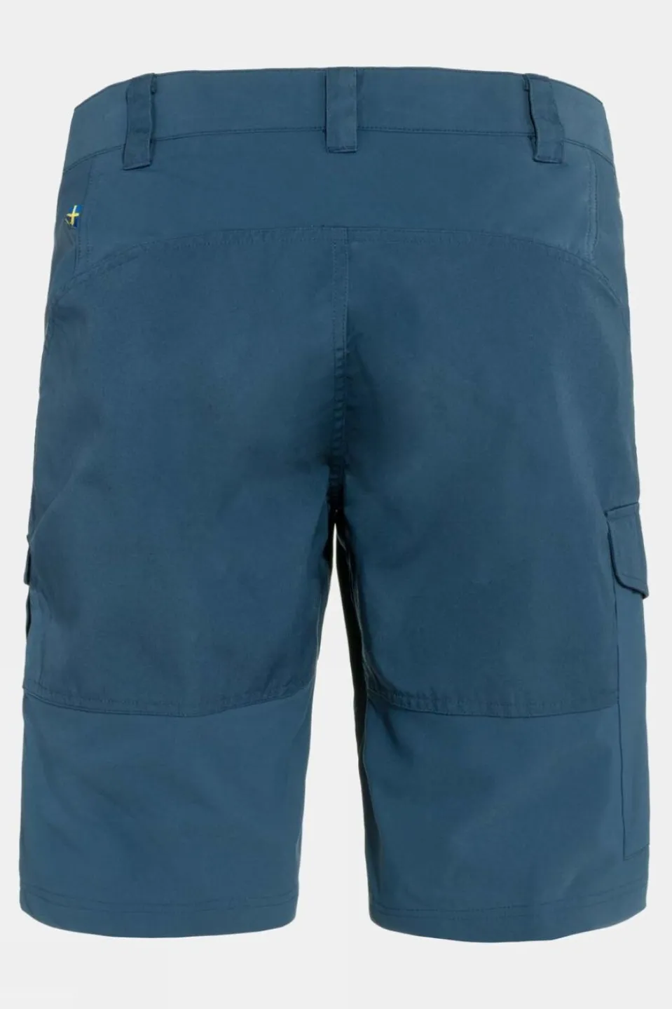 Mens Abisko Shorts