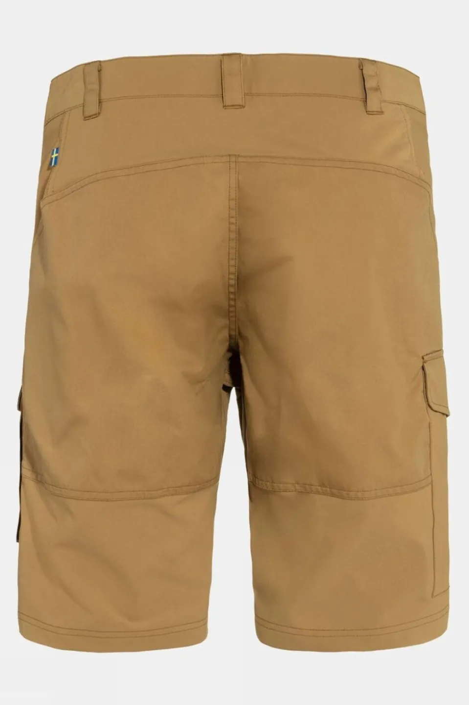Mens Abisko Shorts
