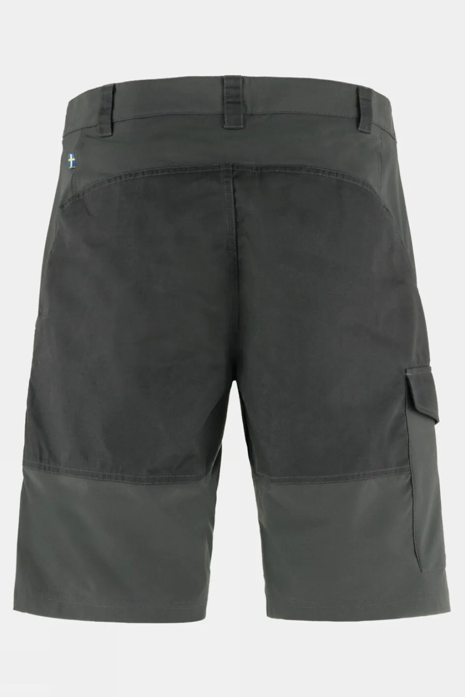 Mens Abisko Shorts