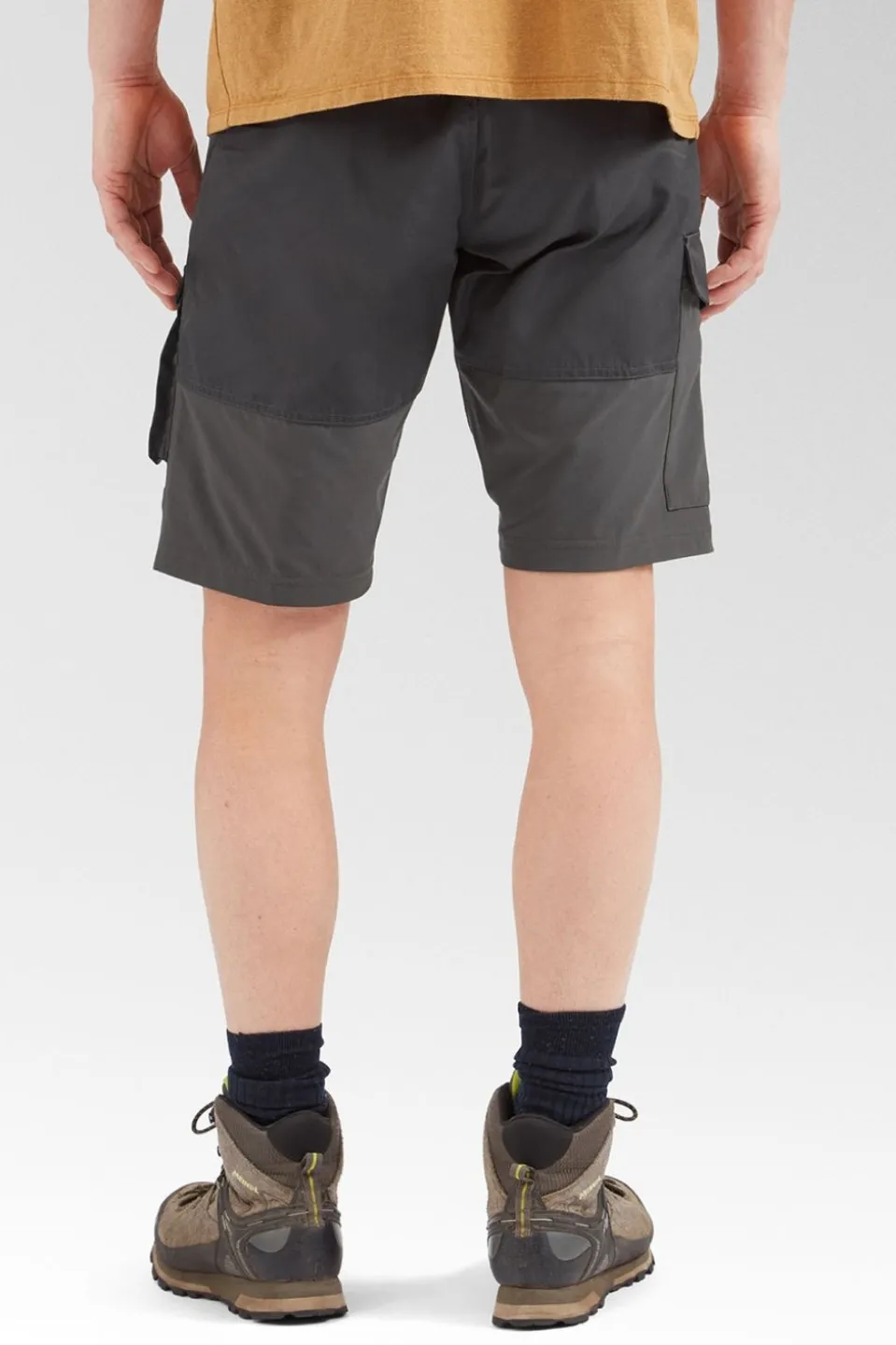 Mens Abisko Shorts