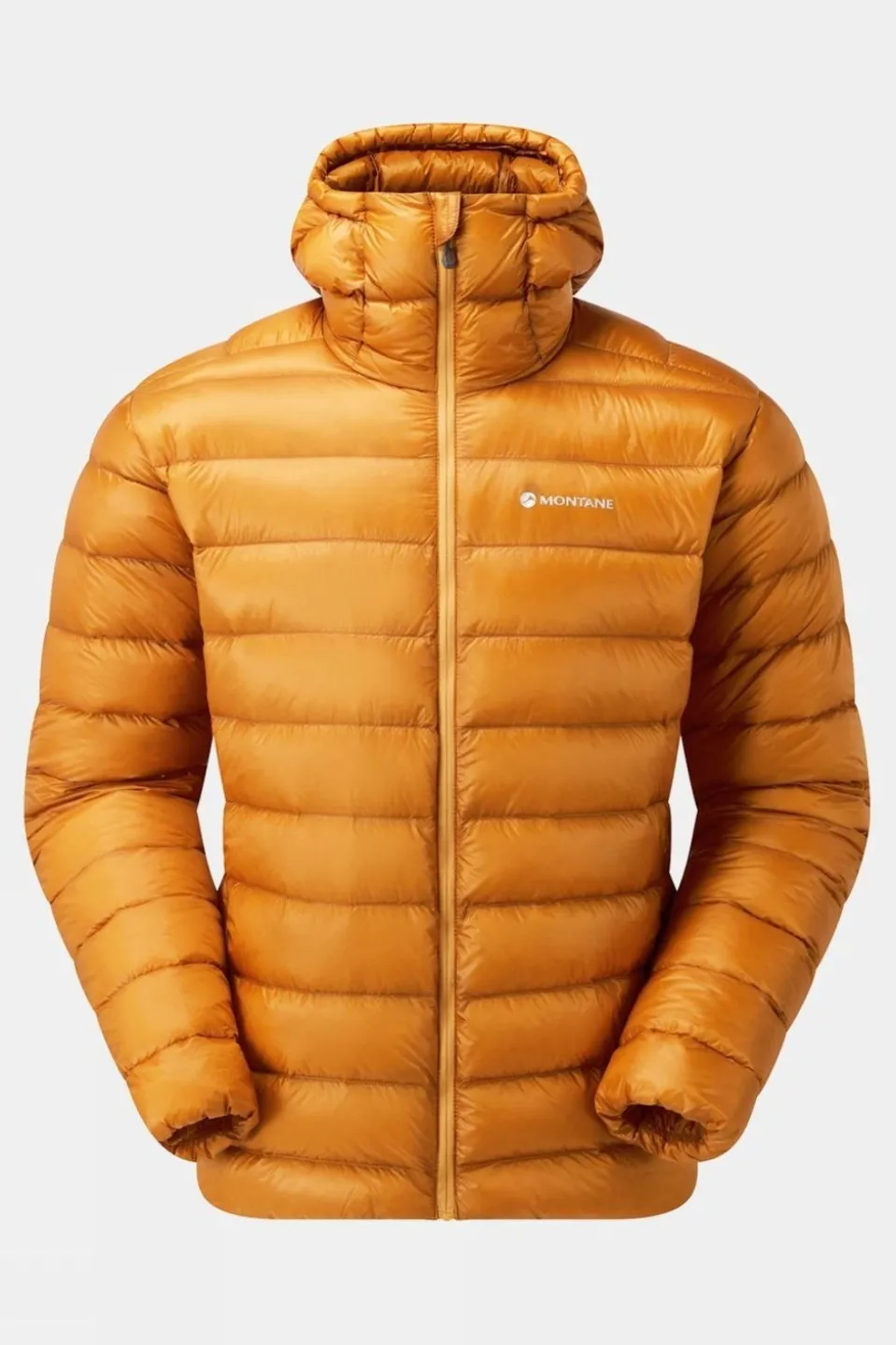 Mens Alpine 850 Lite Hooded Down Jacket