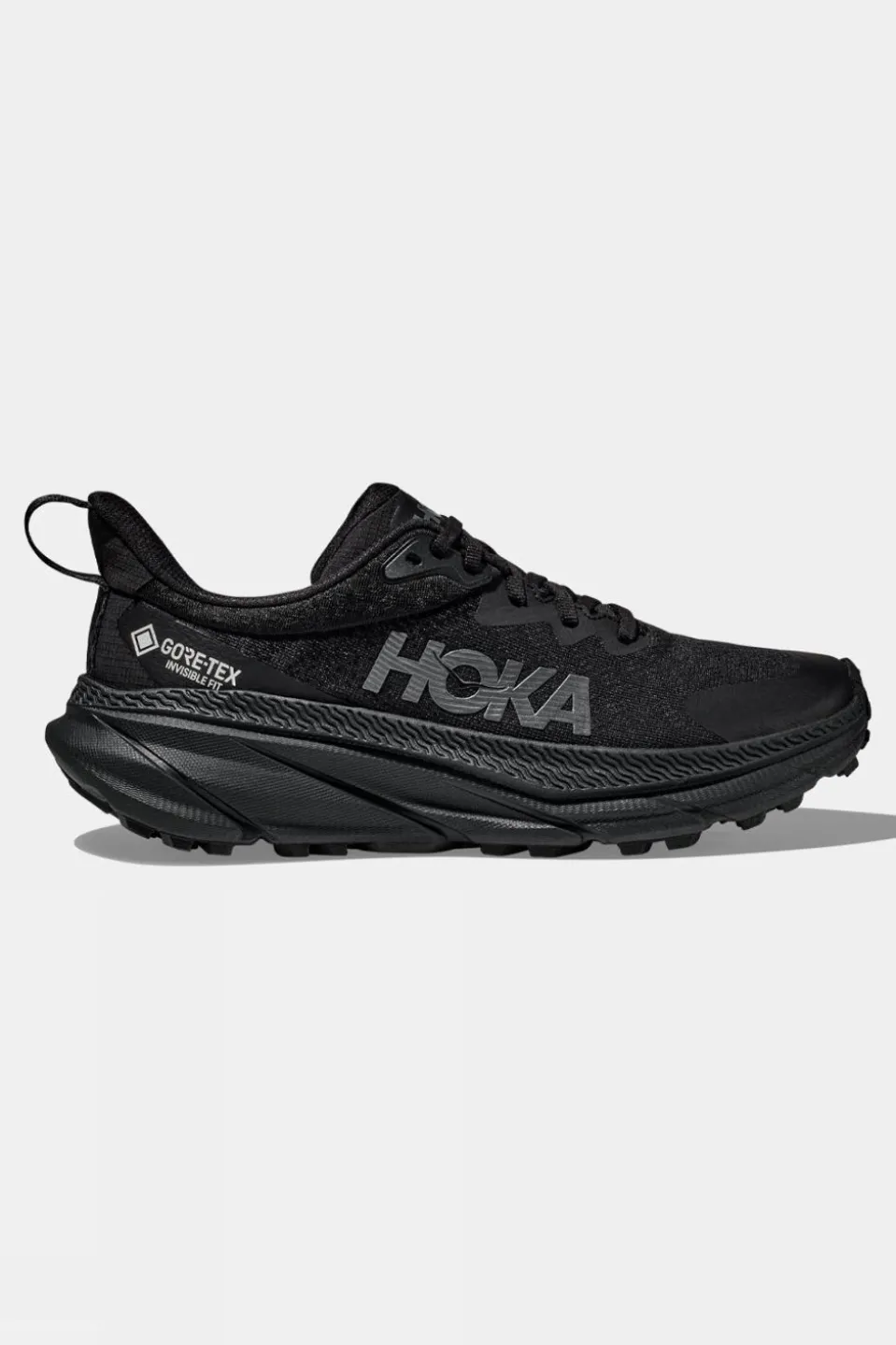 Mens Challenger 7 GTX Shoes