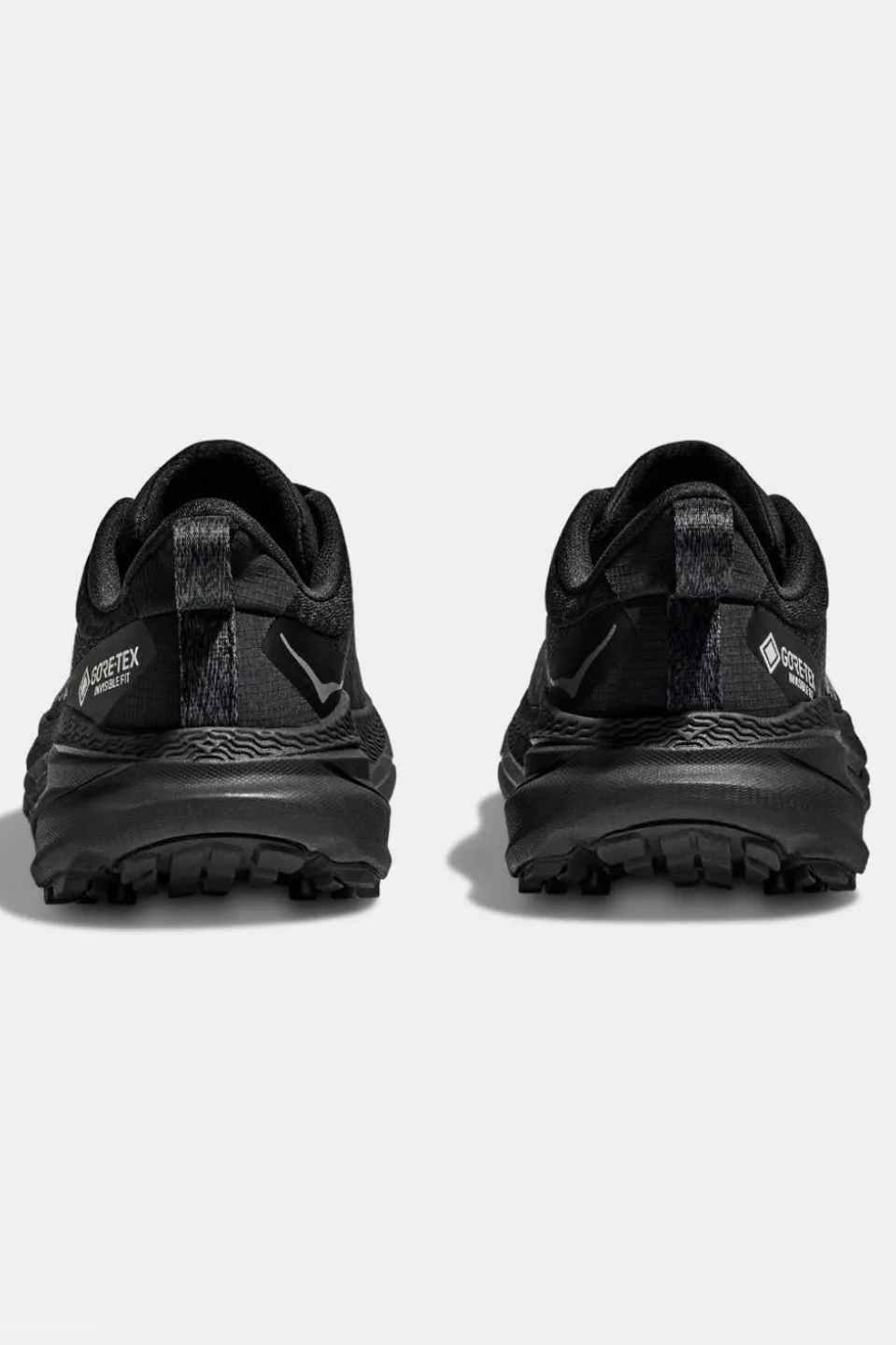 Mens Challenger 7 GTX Shoes