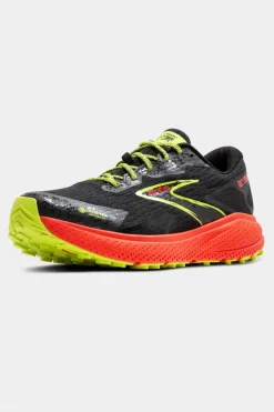 Mens Divide 5 GTX Shoes