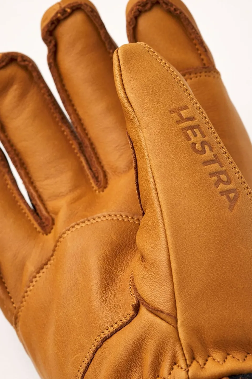 Mens Fall Line Ski Gloves