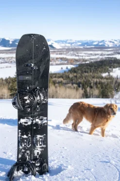 Mens Family Tree Hometown Hero Splitboard