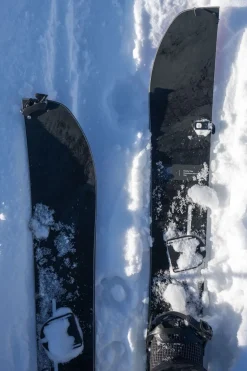 Mens Family Tree Hometown Hero Splitboard