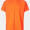 Mens Mountain Technical II T-Shirt