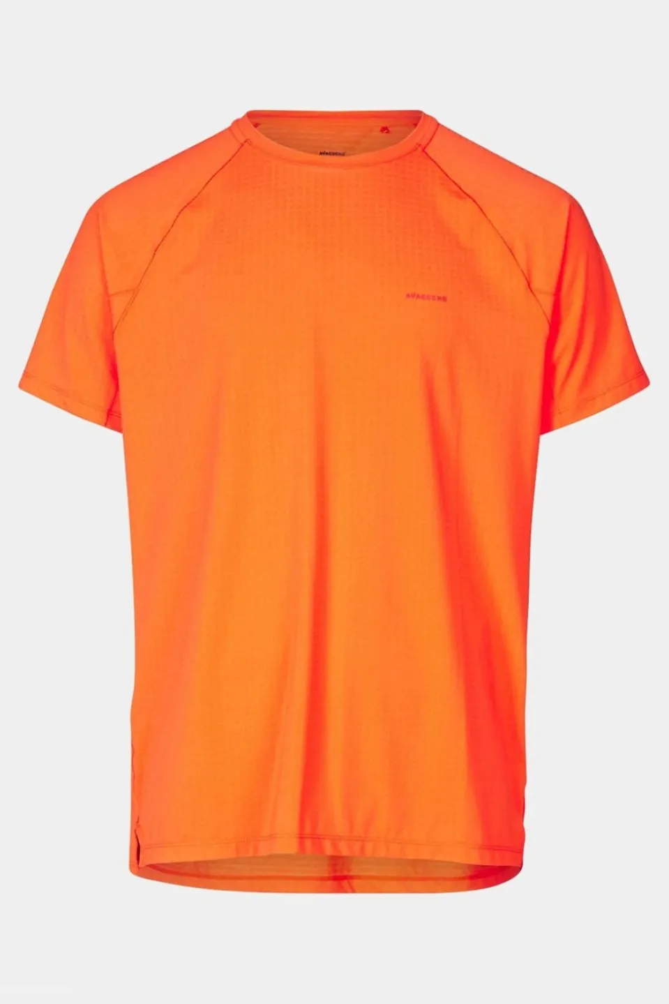 Mens Mountain Technical II T-Shirt