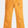 Mens Object Ski Pants - Regular