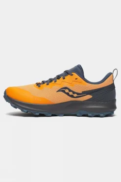 Mens Peregrine 14 GTX Shoes