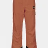 Mens Picture Object Ski Pants