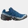 Mens Speedcross 6 GTX Shoes
