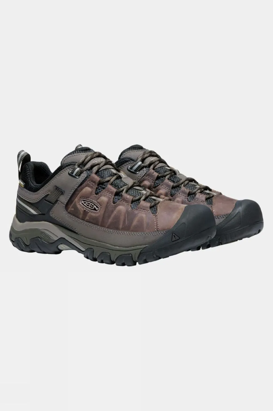 Mens Targhee III Waterproof Shoes