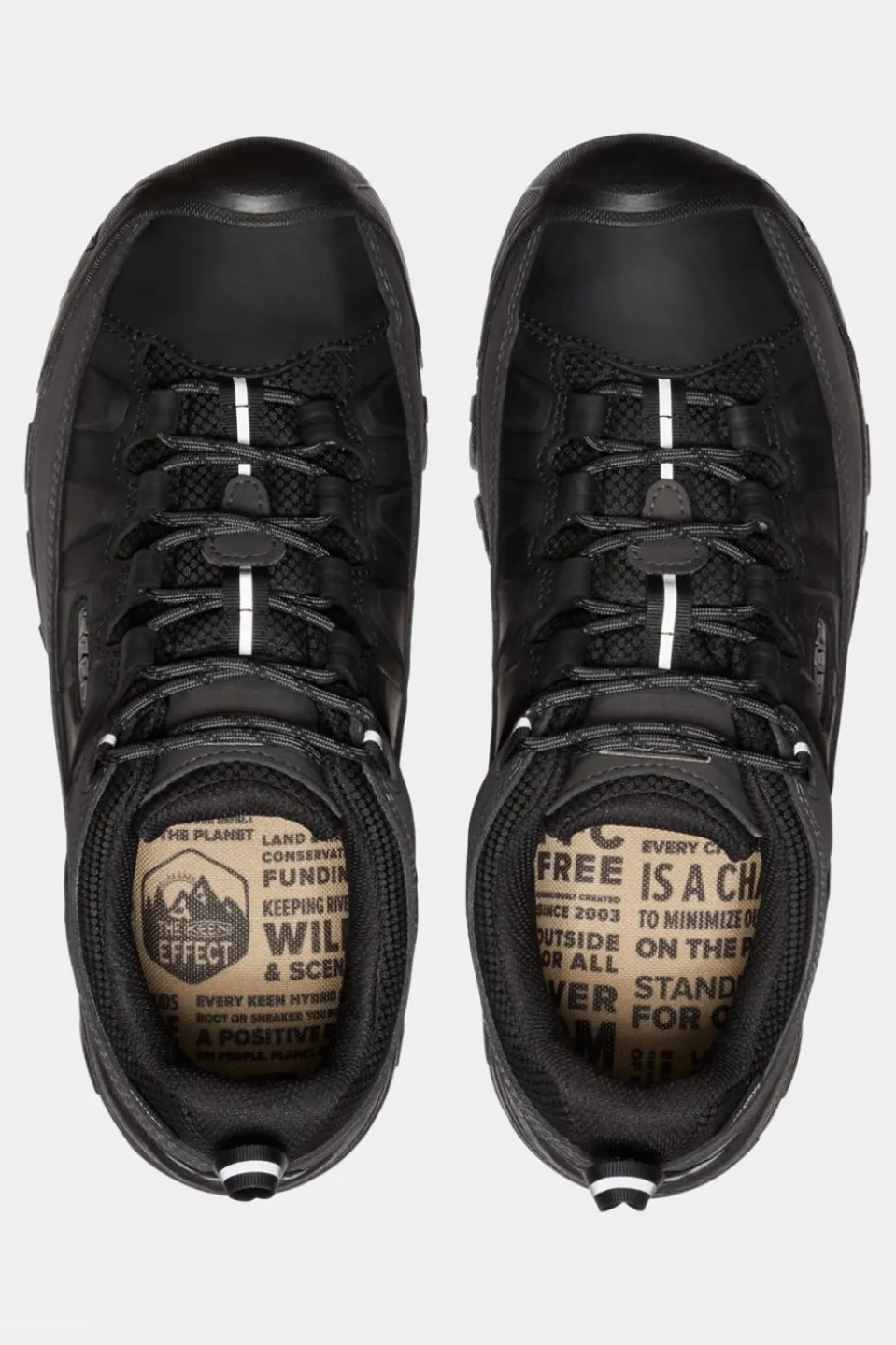 Mens Targhee III Waterproof Shoes