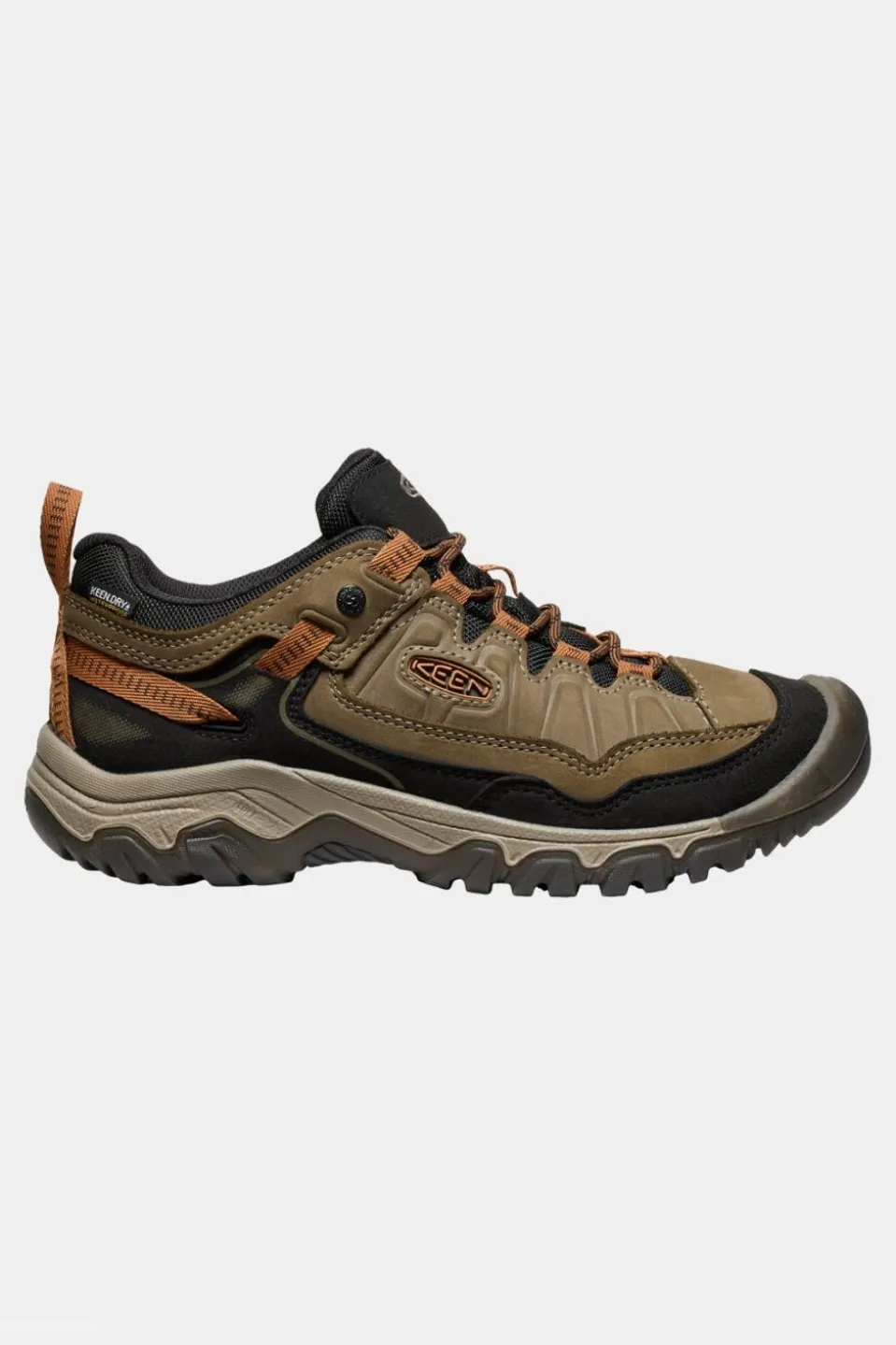 Mens Targhee IV Waterproof Shoes