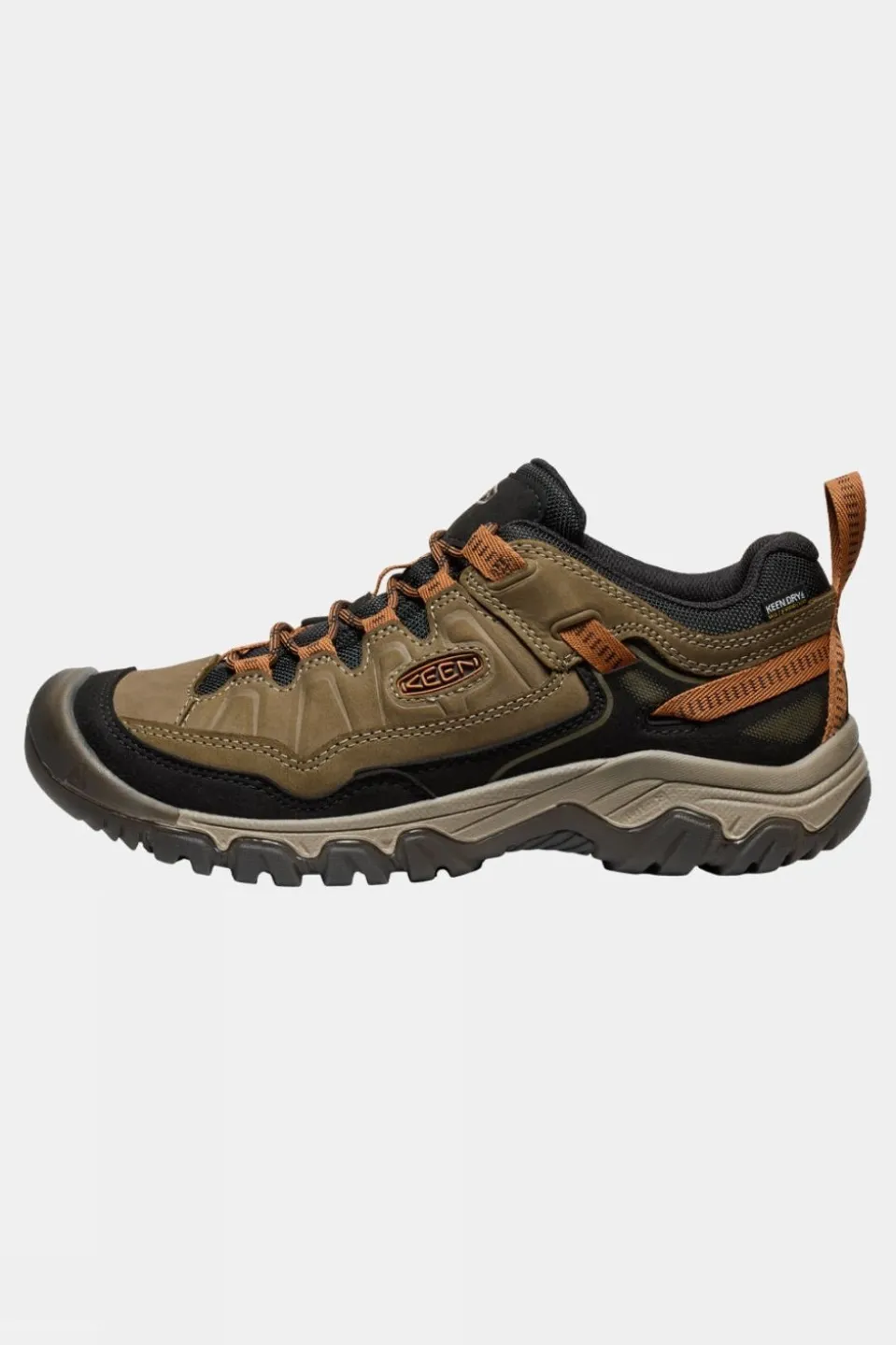 Mens Targhee IV Waterproof Shoes
