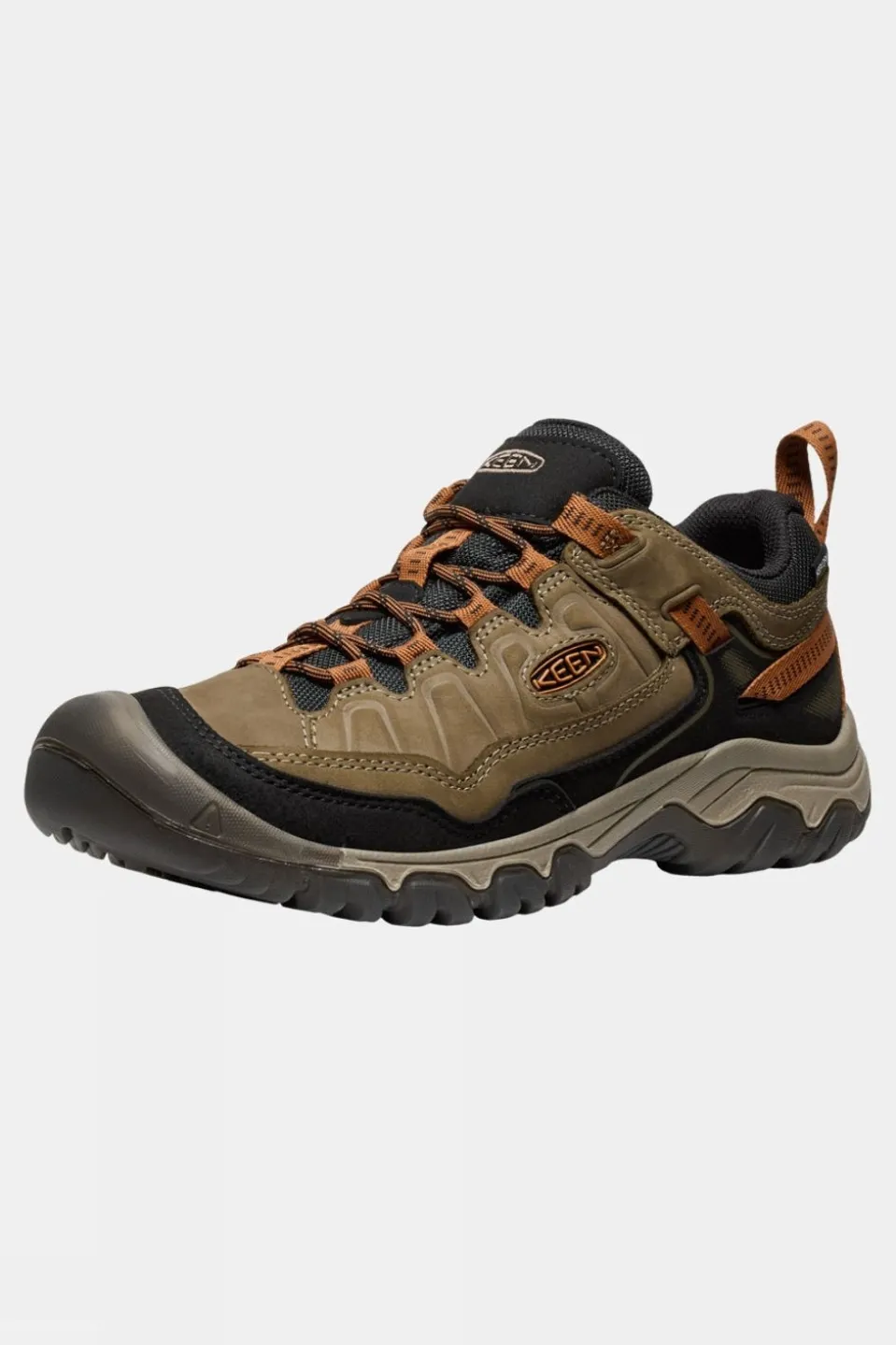 Mens Targhee IV Waterproof Shoes