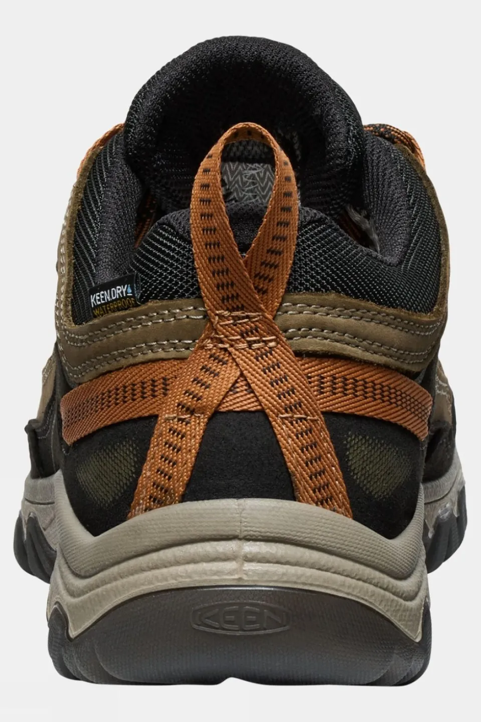 Mens Targhee IV Waterproof Shoes