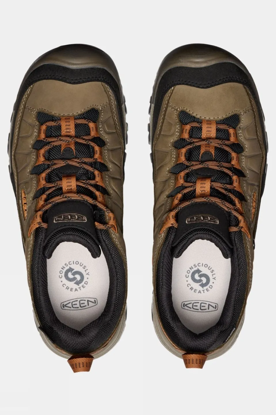 Mens Targhee IV Waterproof Shoes