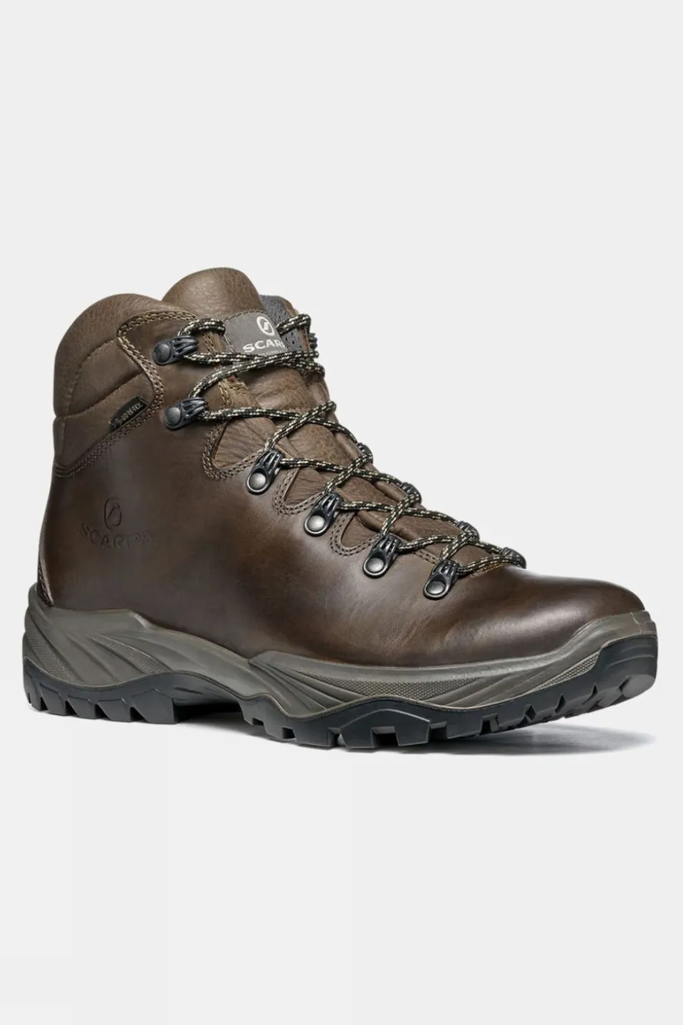 Mens Terra GTX Boots