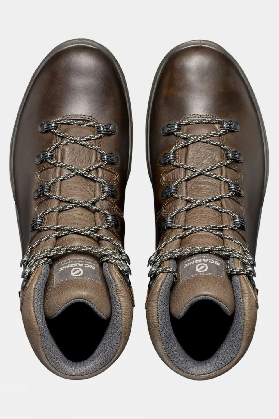 Mens Terra GTX Boots