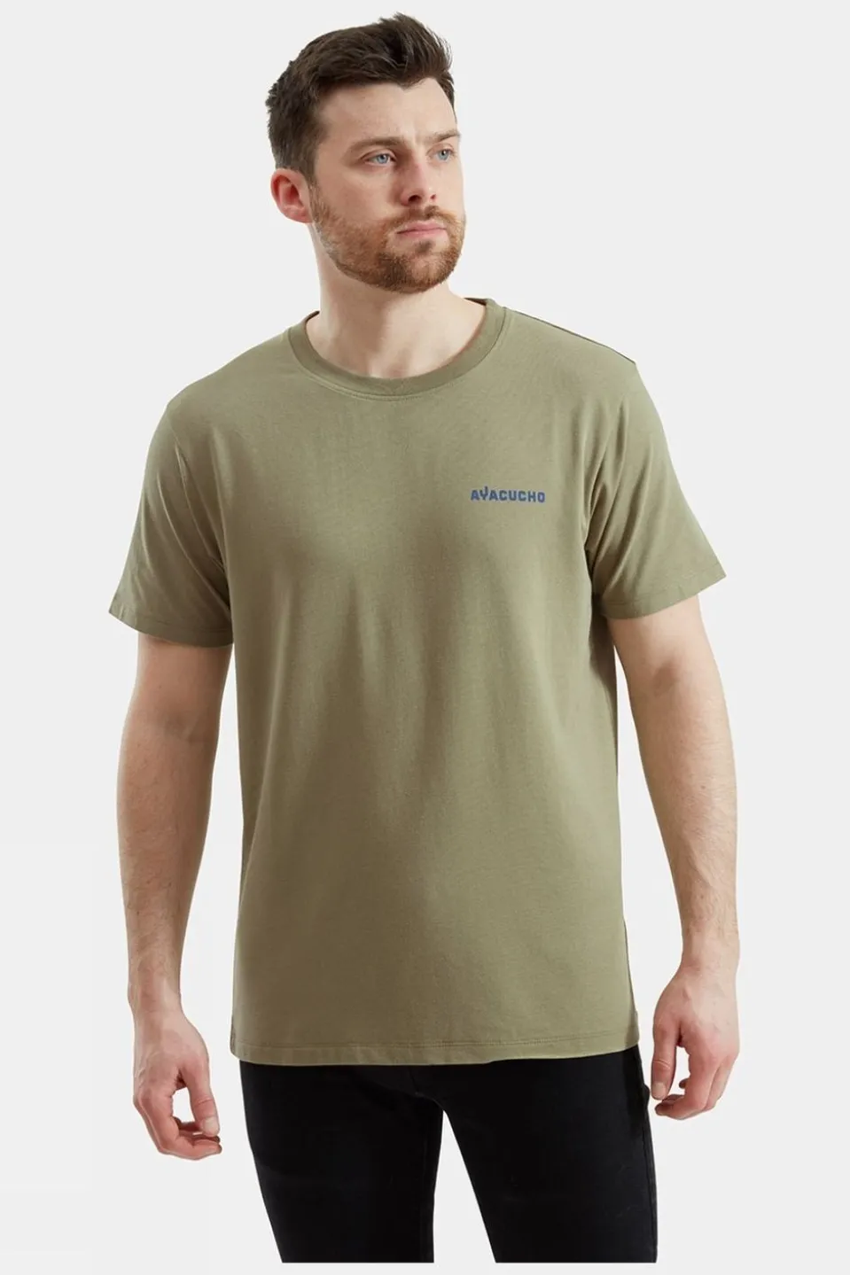 Mens Vinicunca Mountain T-Shirt