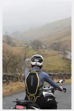 Pro L2K Dynamic Back Protector