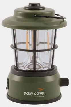 Starflower Lantern Light