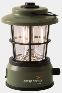 Starflower Lantern Light