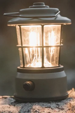 Starflower Lantern Light