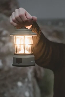 Starflower Lantern Light