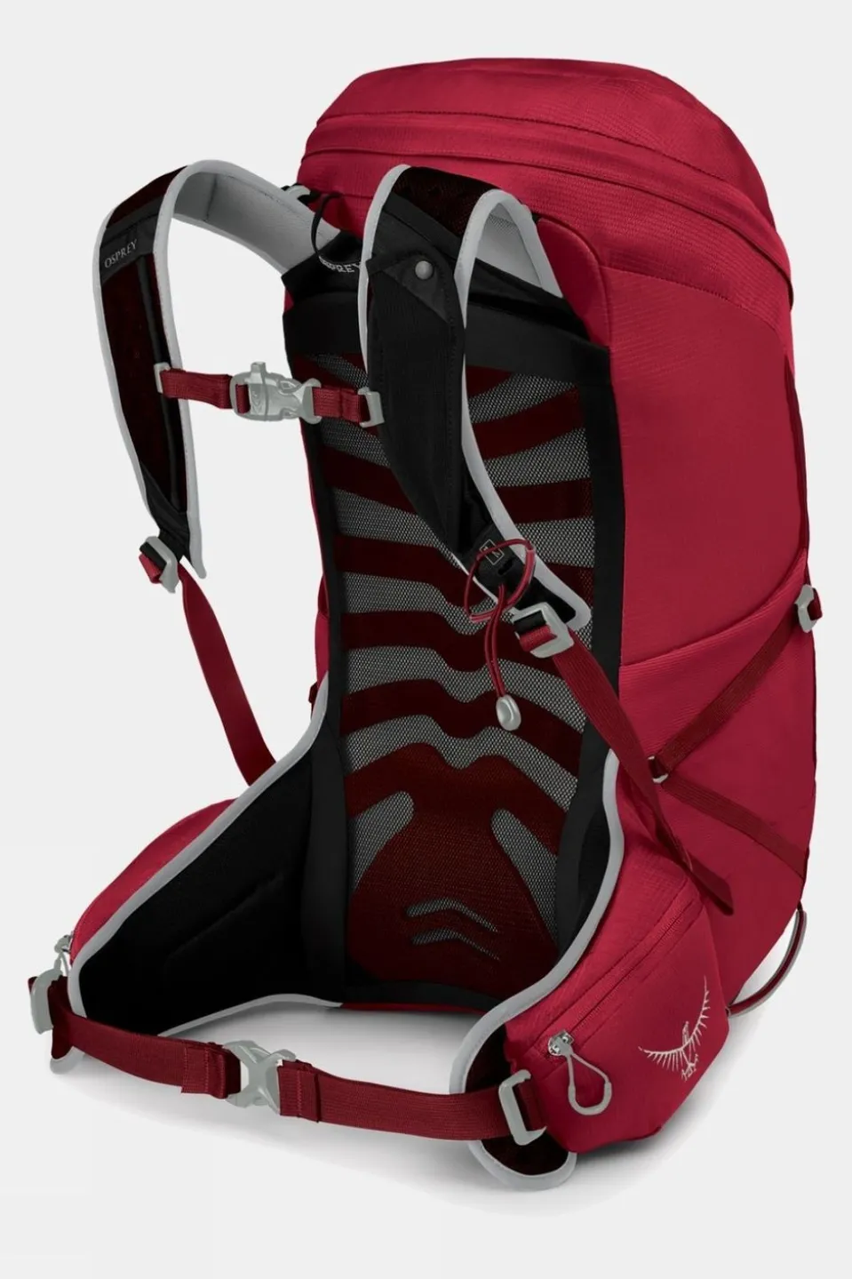 Talon 26 Daypack