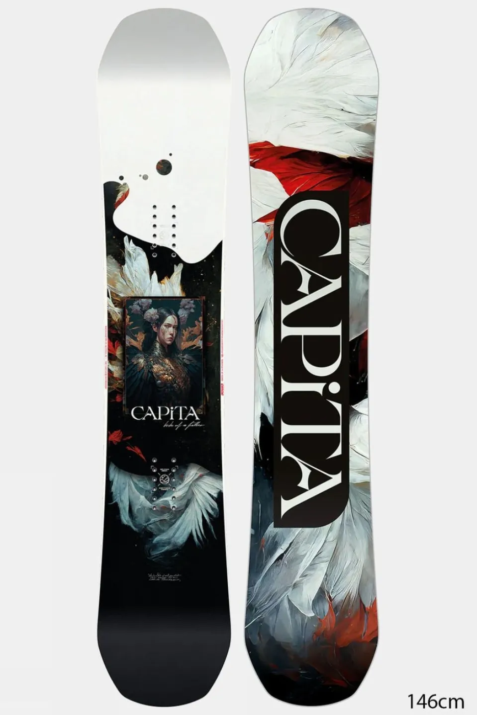 Womens Birds Of A Feather Snowboard