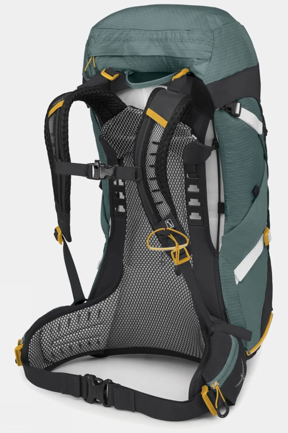 Womens Sirrus 36 Daypack