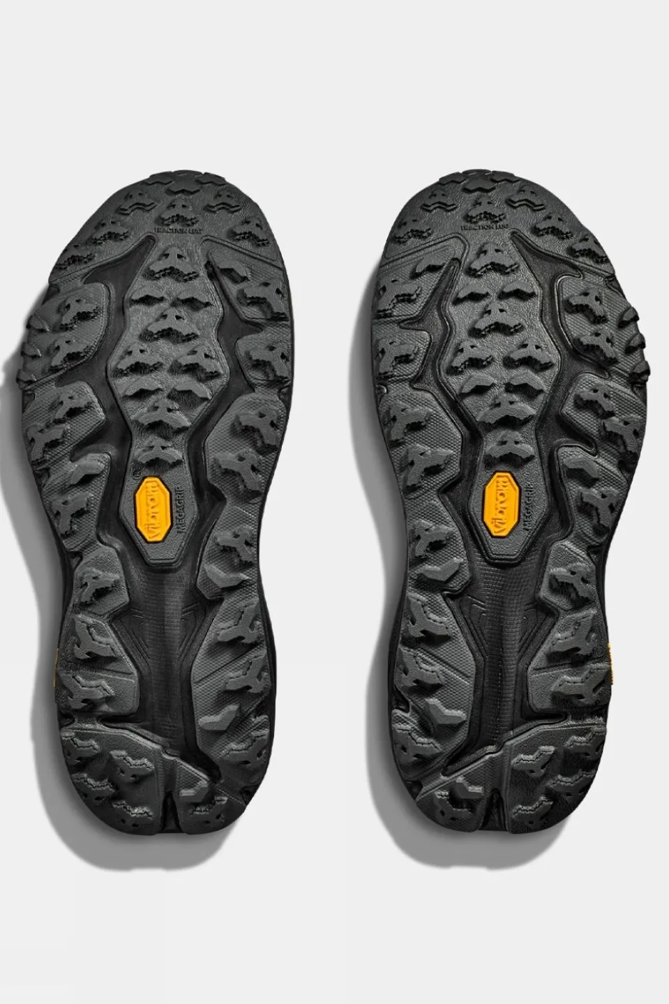 Womens Speedgoat 6 GTX Shoes