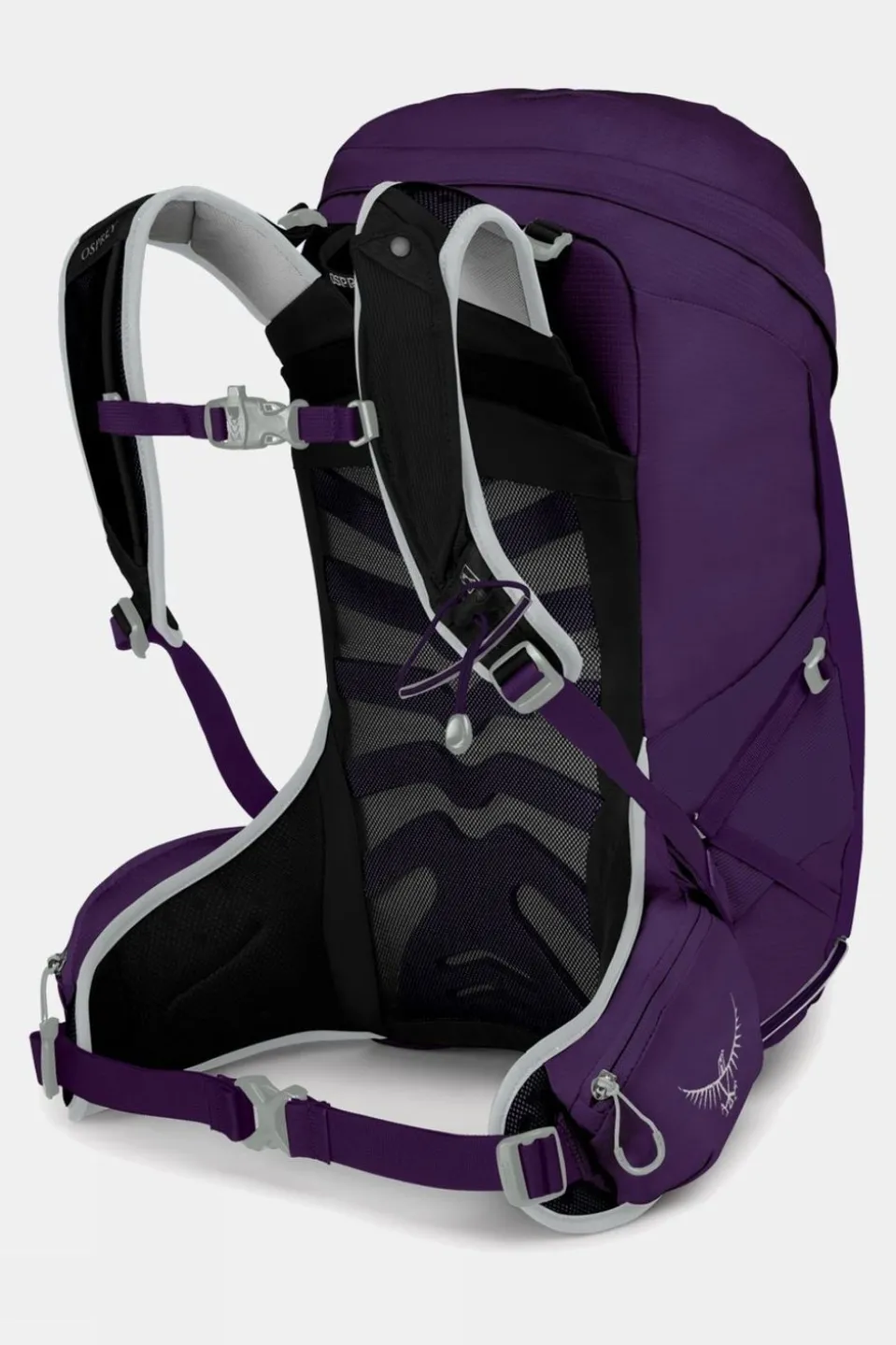 Womens Tempest 24L Daypack